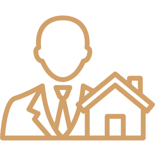 Professional Property Consultant